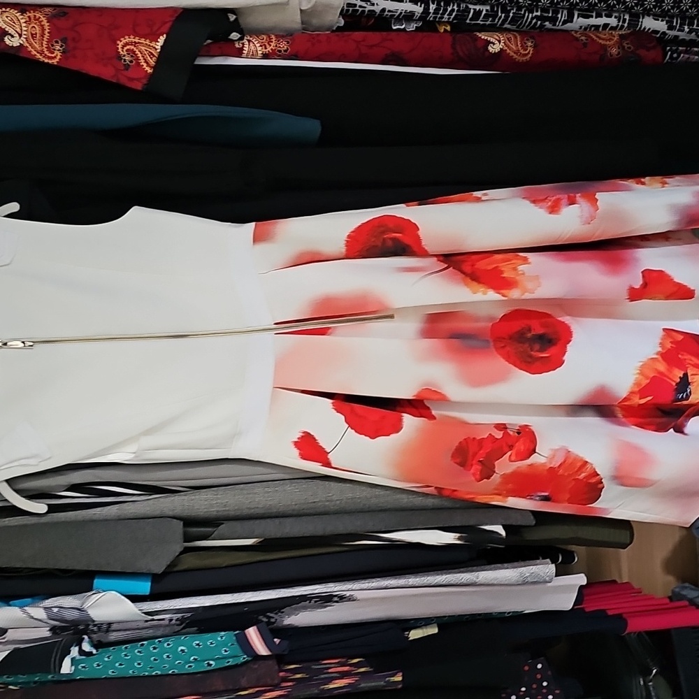 Ted BAKER Floral White/Red MICLA Dress. Sz 2 (6 US). NWT - Picture 7 of 7